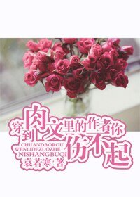 穿到肉文裡的作者你傷不起